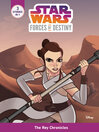 Imagen de portada para Star Wars Forces of Destiny